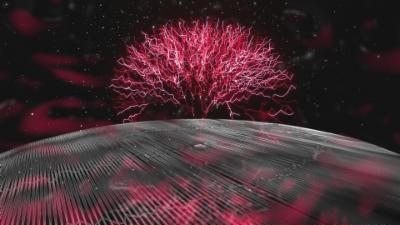 Magical Tree | Music Visualizer